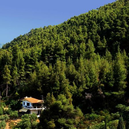 شقة Philippos 2 Diaporos المظهر الخارجي الصورة